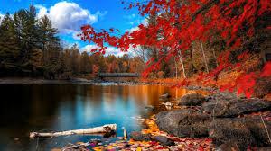 Automne