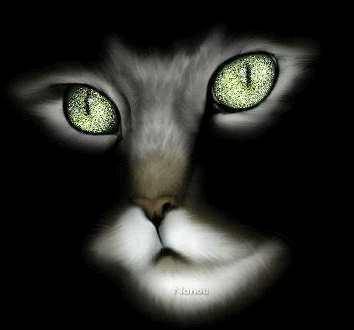 chat2.gif
